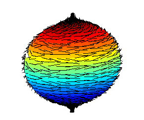 Hairy_ball