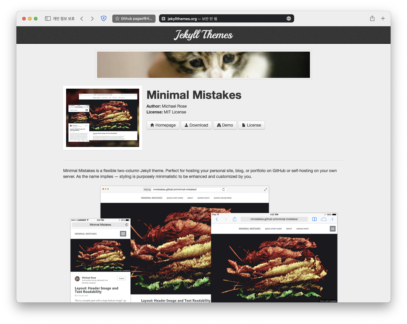 Minimal-mistakes